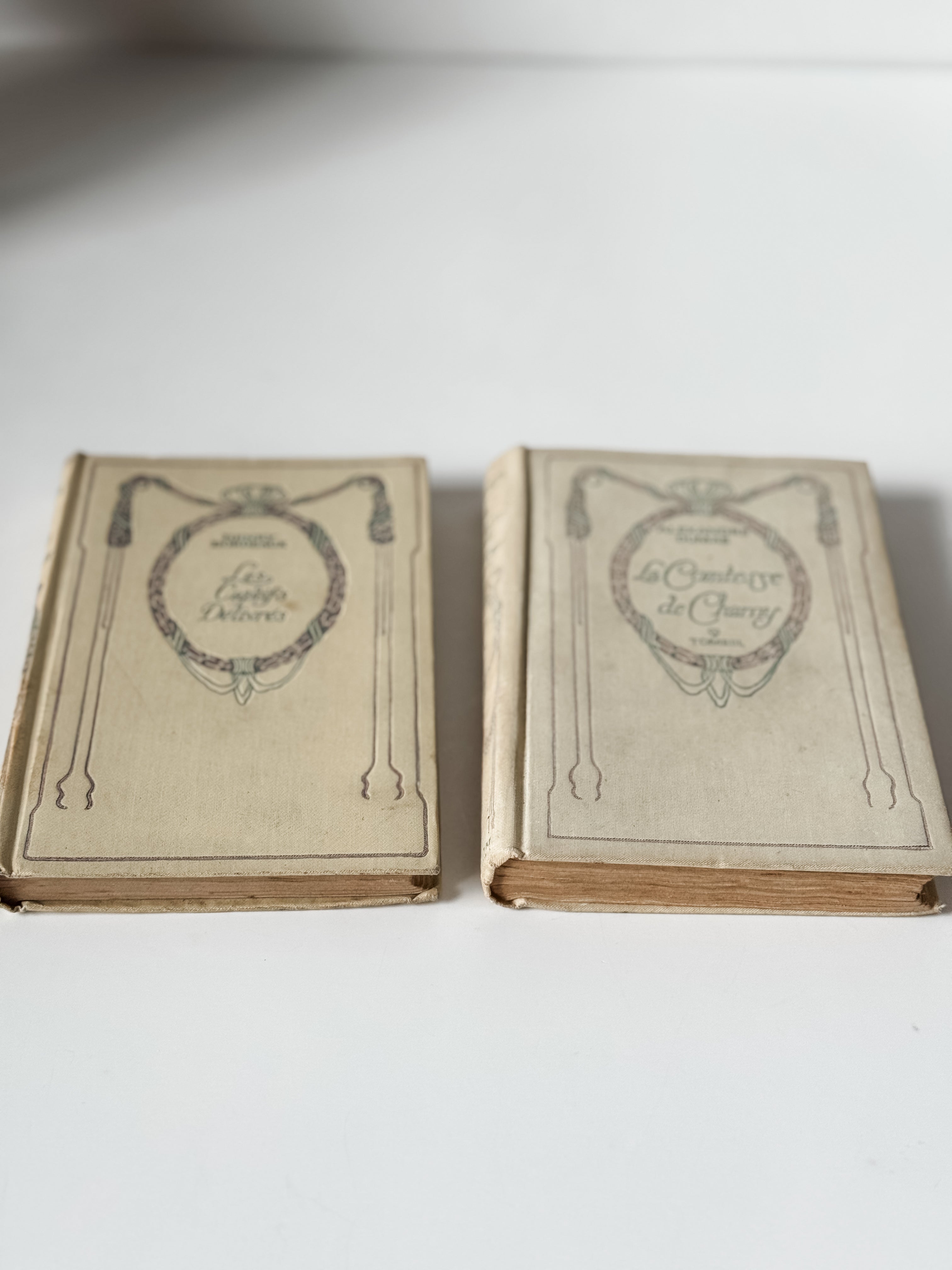 Early 1900s Parisian Books Set Of Two