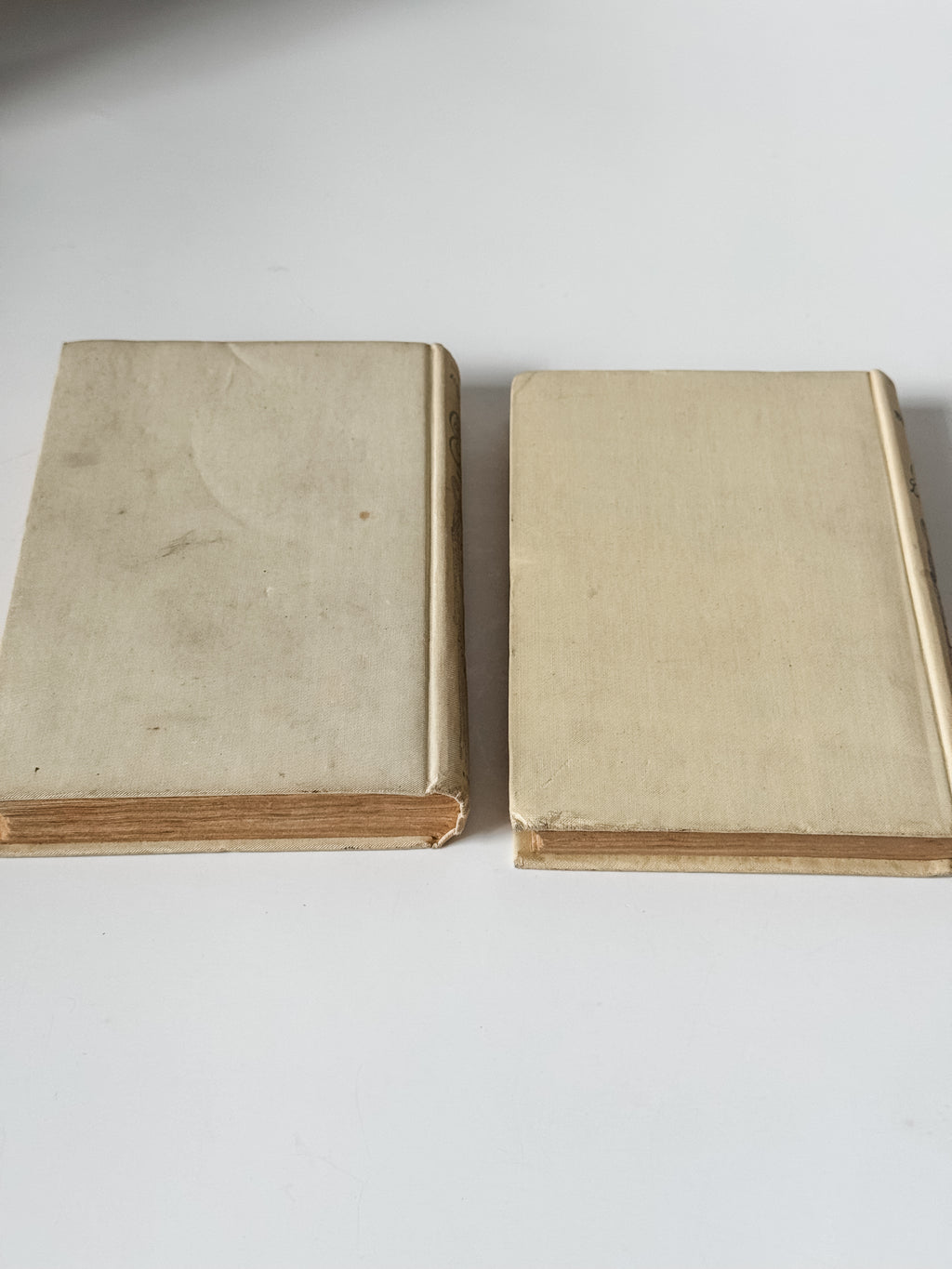 Early 1900s Parisian Books Set Of Two