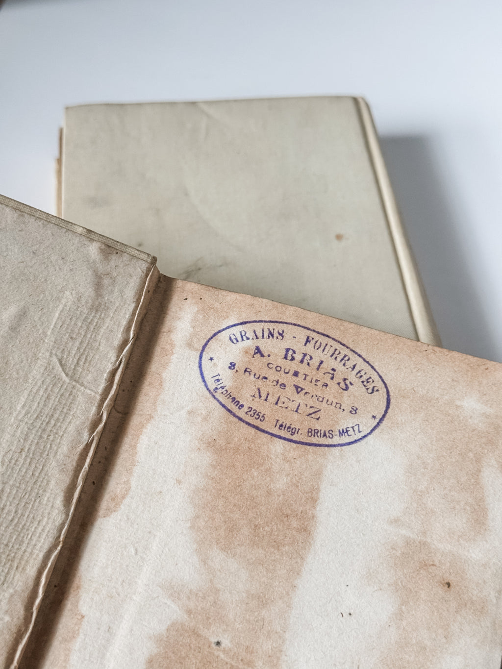 Early 1900s Parisian Books Set Of Two
