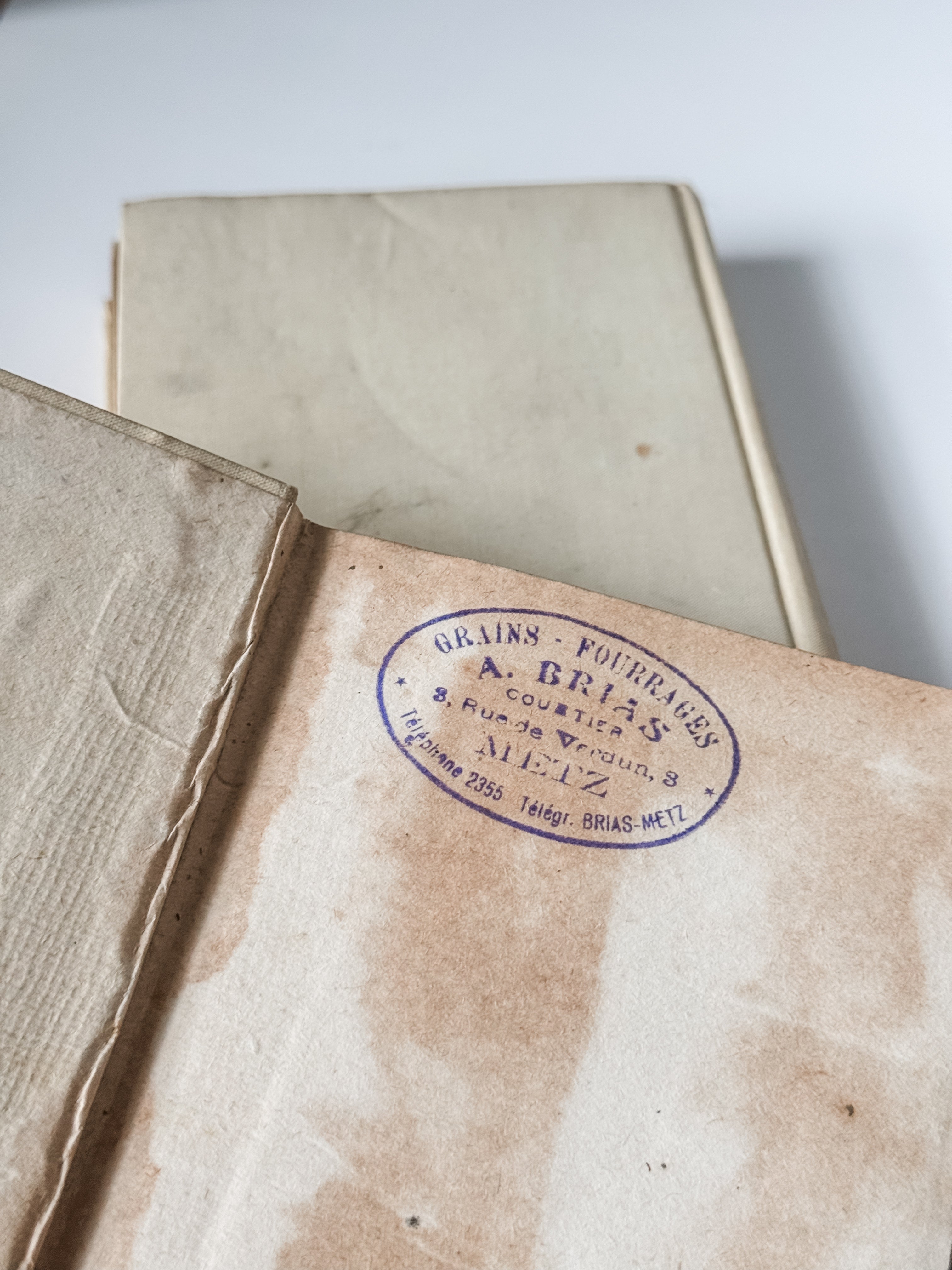 Early 1900s Parisian Books Set Of Two
