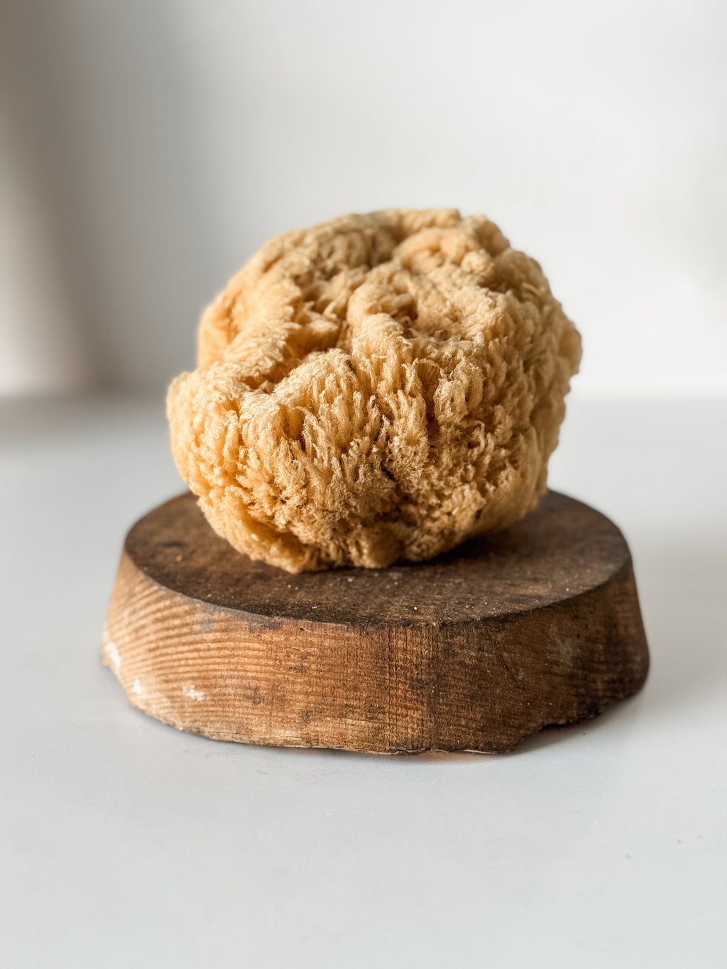 Vintage Soft Brown Sea Sponge