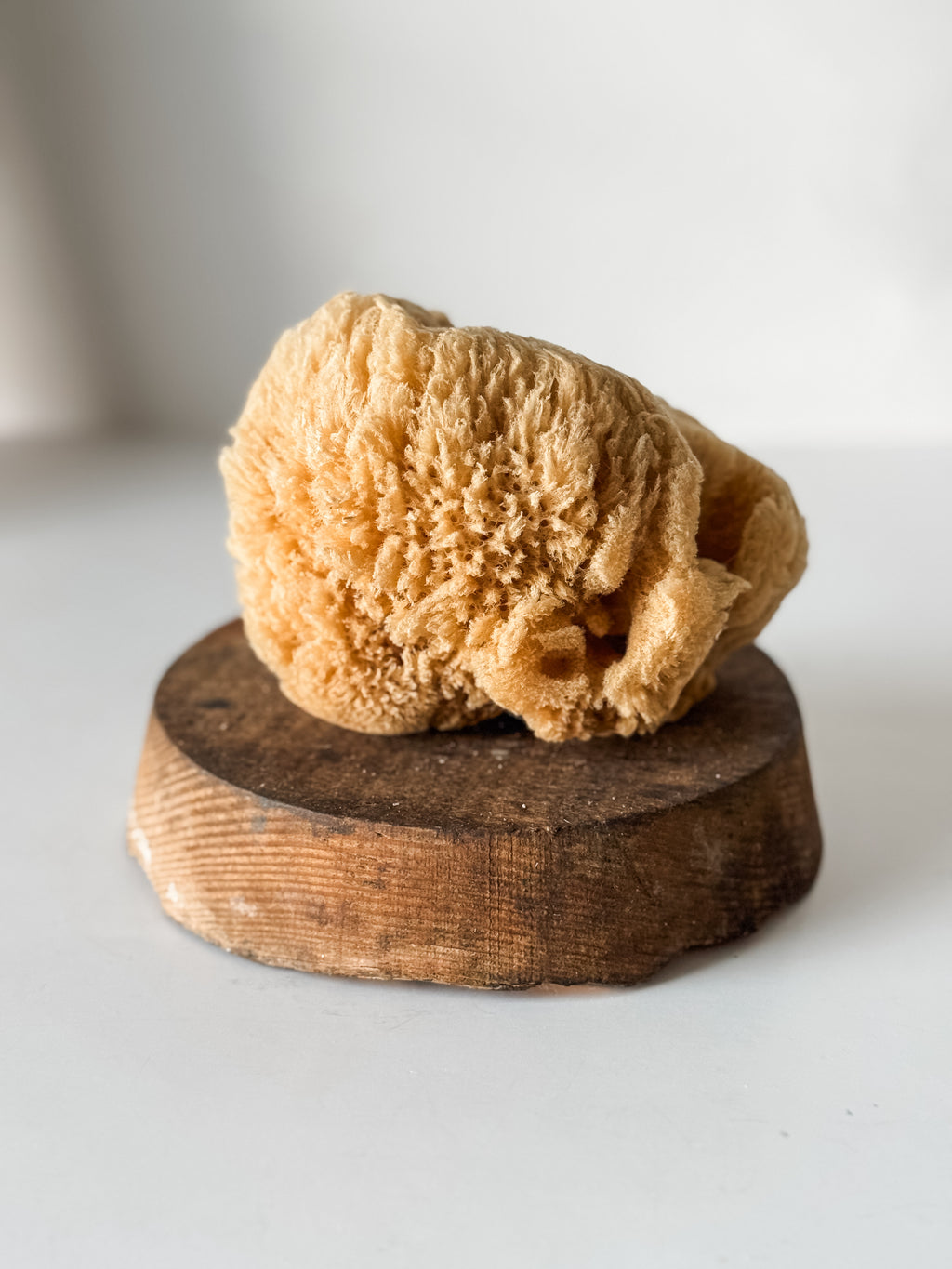 Vintage Soft Brown Sea Sponge